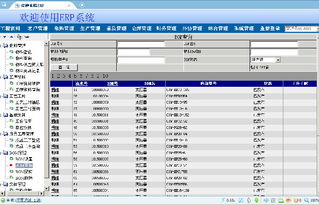 變壓器工廠ERP系統全攻略 價格、廠家、圖片與軟件開發詳解